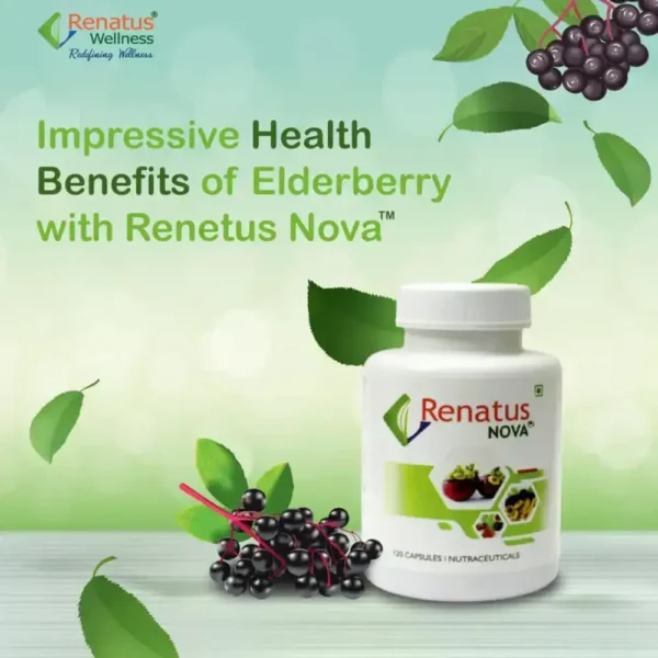 Renatus Nova 4